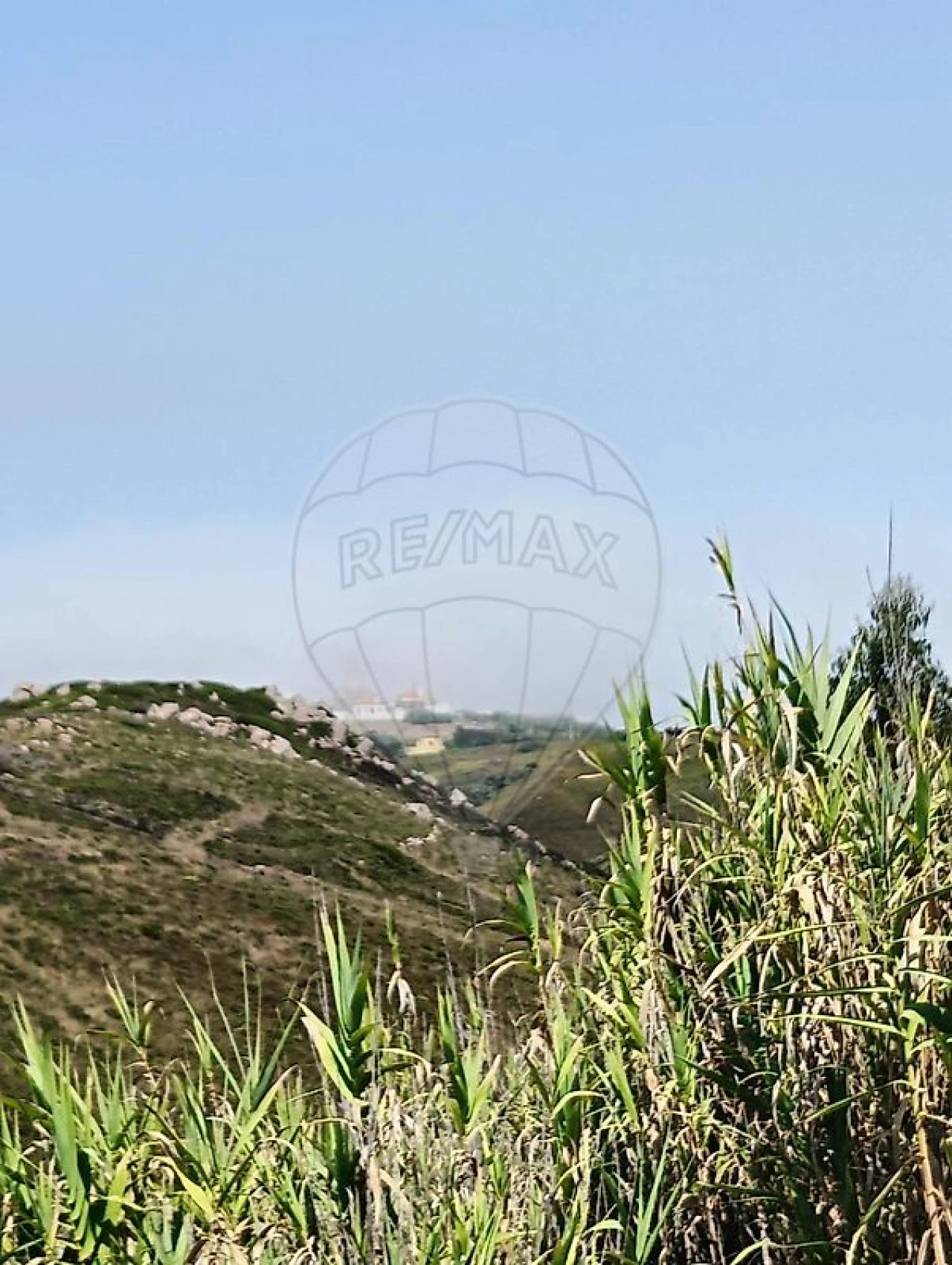 Terreno para Venda em Colares Foto 2