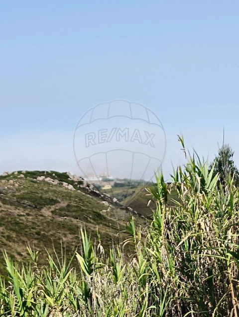 Terreno para Venda em Colares