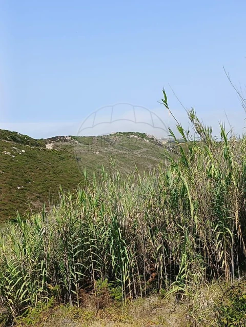 Terreno para Venda em Colares