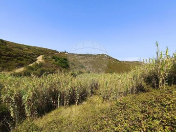 Terreno para Venda em Colares