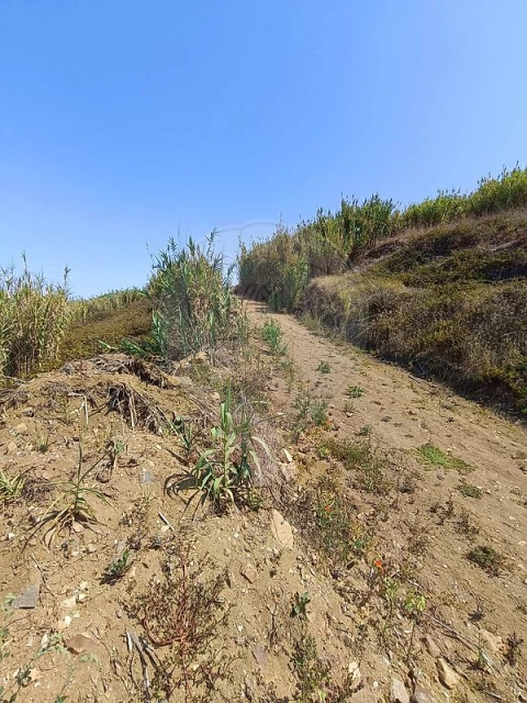 Terreno para Venda em Colares