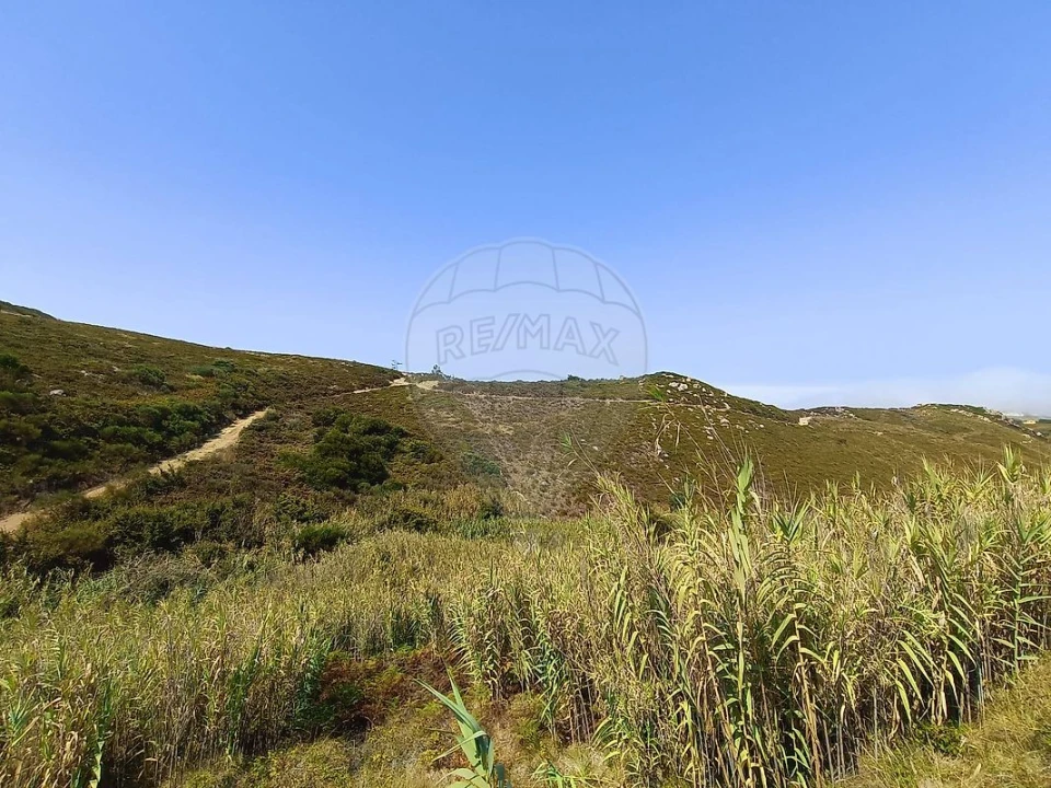 Terreno para Venda em Colares Foto 5