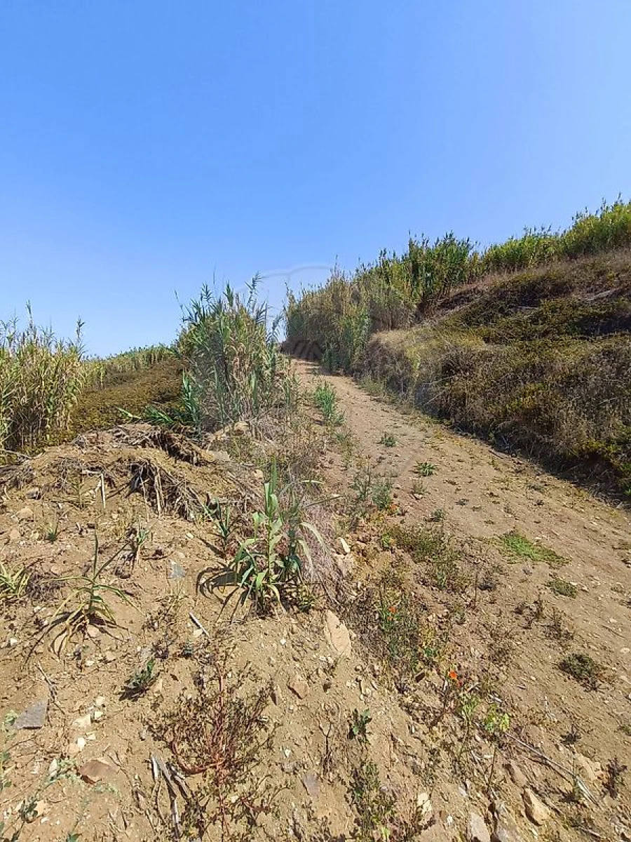 Terreno para Venda em Colares Foto 6