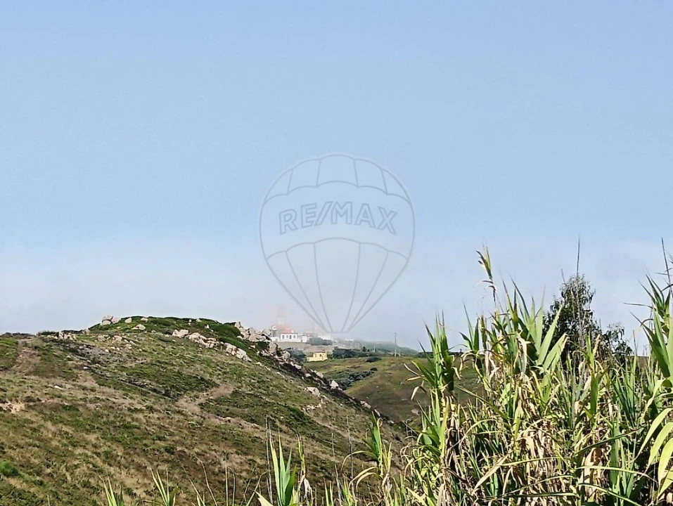 Terreno para Venda em Colares Foto 3
