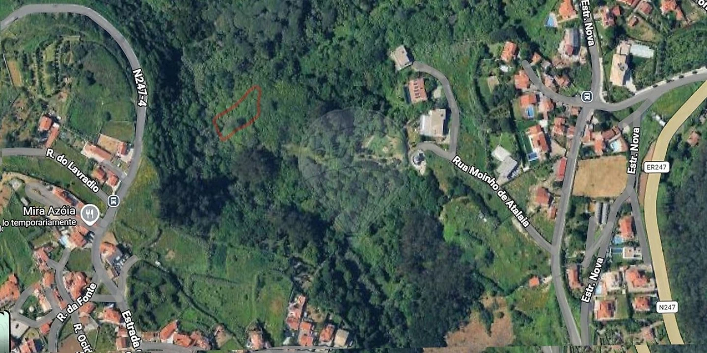 Terreno para Venda em Colares Foto 2