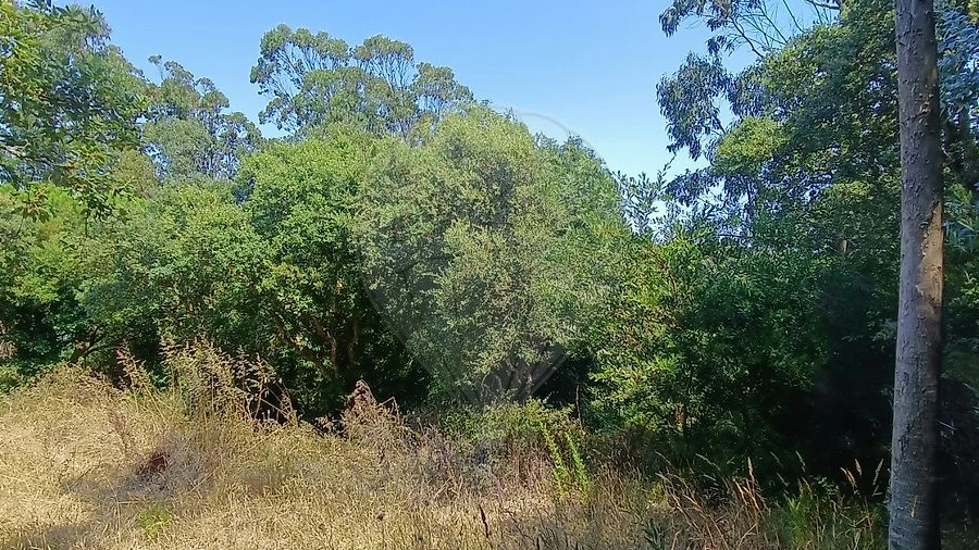 Terreno para Venda em Colares