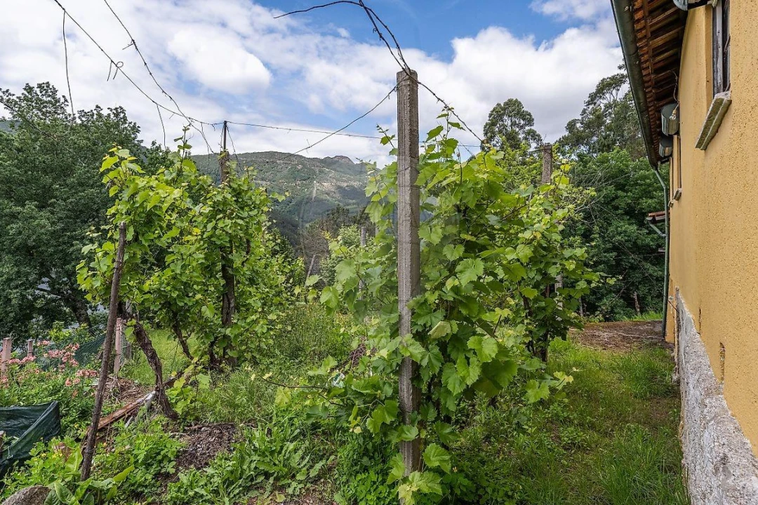 Moradia T3 para Venda em Vilar da Veiga Foto 27