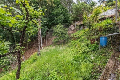 Moradia T3 para Venda em Vilar da Veiga
