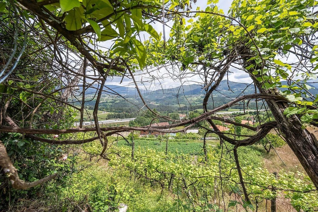 Moradia T4 para Venda em Atei Foto 15