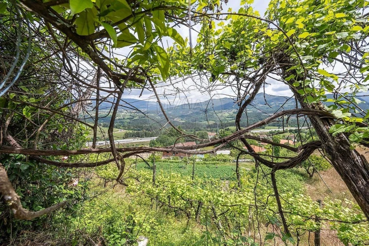 Moradia T4 para Venda em Atei Foto 15
