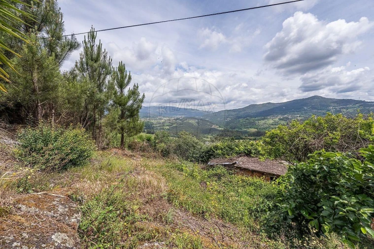 Moradia T4 para Venda em Atei Foto 20