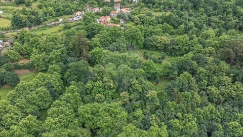 Moradia T1 para Venda em Ventosa e Cova