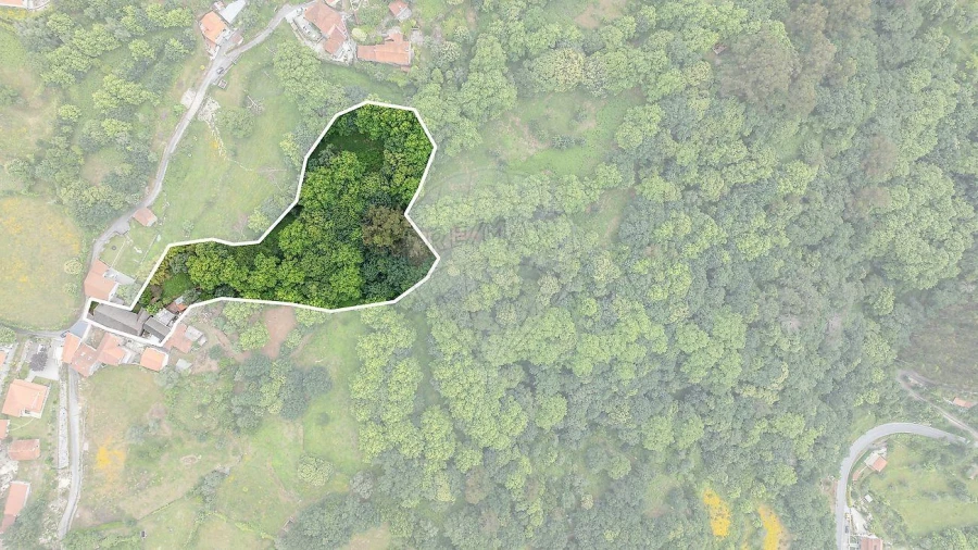 Moradia T1 para Venda em Ventosa e Cova Foto 2
