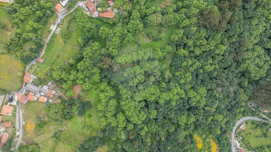 Moradia T1 para Venda em Ventosa e Cova Foto 3