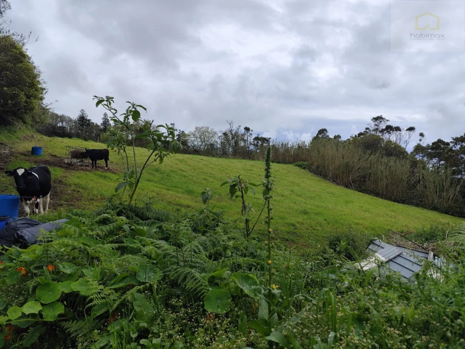 Terreno Agricola ou Rústico para Venda em Candelaria Foto 3