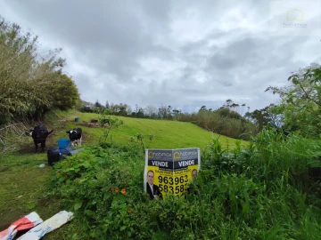 Terreno Agricola ou Rústico para Venda em Candelaria