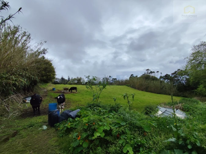 Terreno Agricola ou Rústico para Venda em Candelaria Foto 2