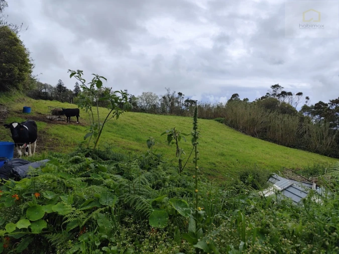 Terreno Agricola ou Rústico para Venda em Candelaria Foto 3