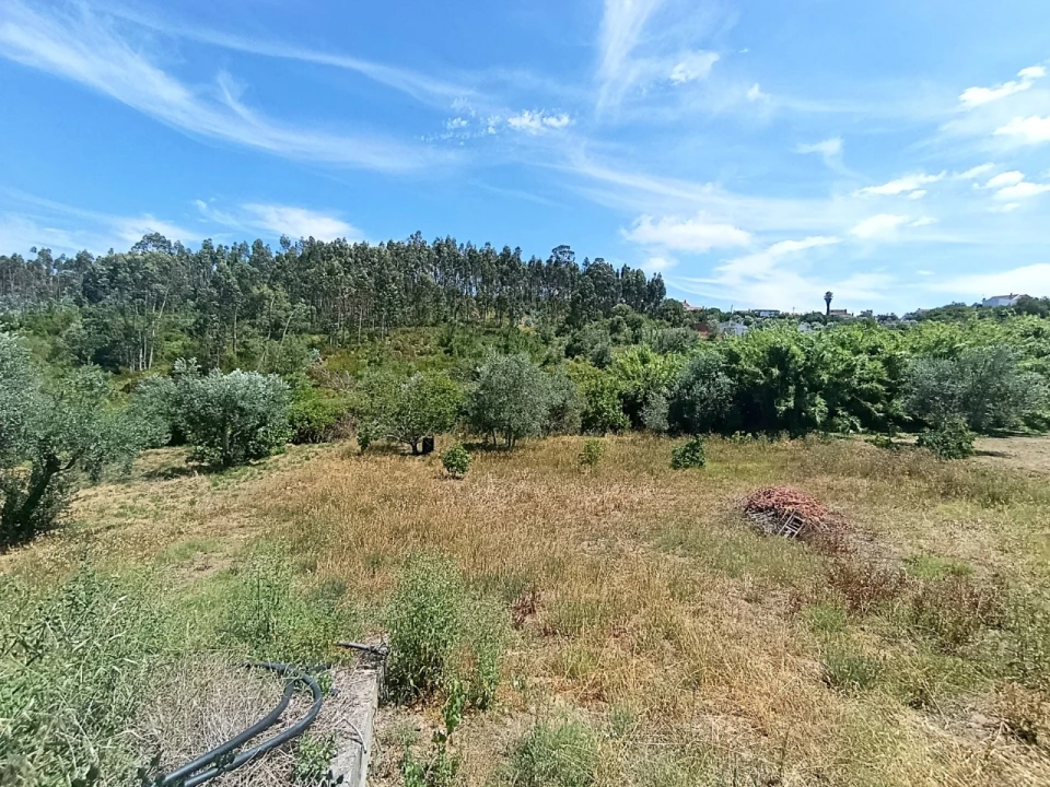 Moradia para Venda em Carvalhal Foto 9