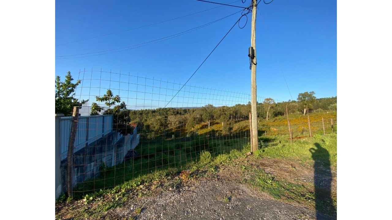 Terreno para Venda em Sé Nova, Santa Cruz, Almedina e São Bartolomeu Foto 1