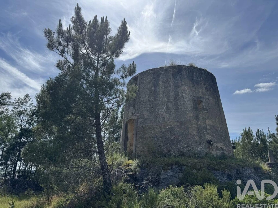Prédio para Venda em Olhalvo Foto 11