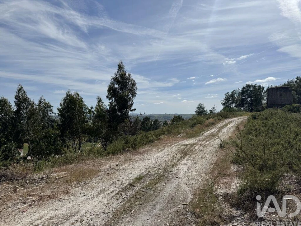 Prédio para Venda em Olhalvo Foto 21