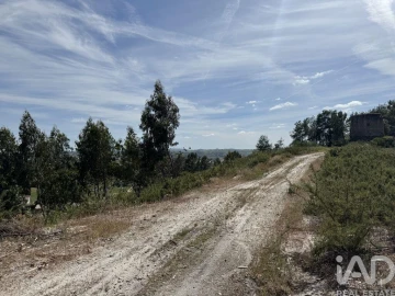 Prédio para Venda em Olhalvo