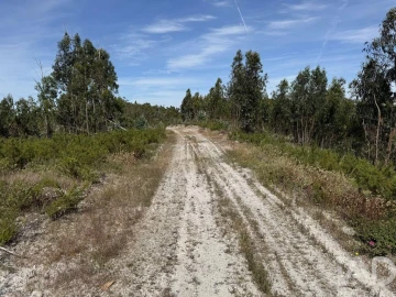 Prédio para Venda em Olhalvo