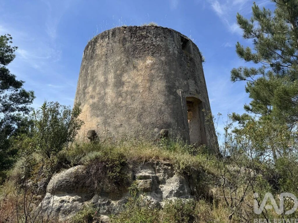 Prédio para Venda em Olhalvo Foto 10