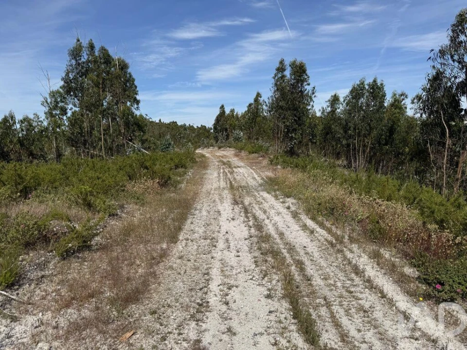 Prédio para Venda em Olhalvo Foto 18
