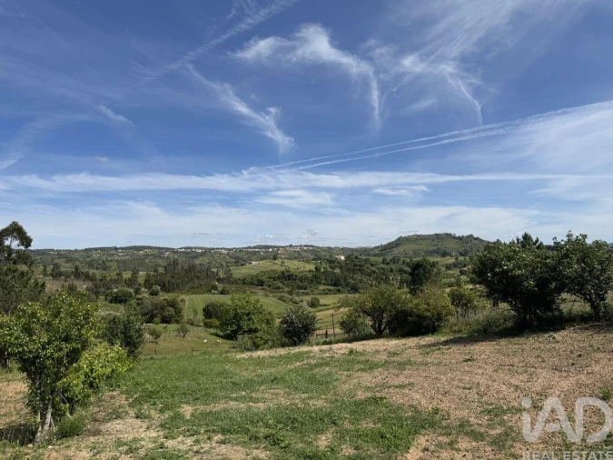 Prédio para Venda em Olhalvo Foto 7