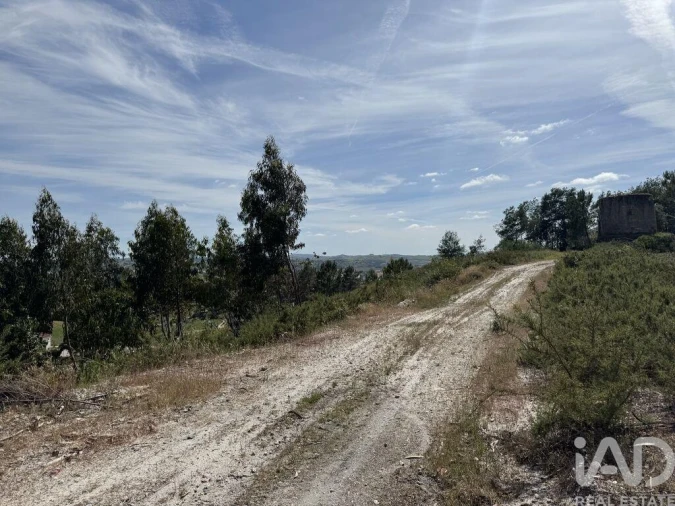 Prédio para Venda em Olhalvo Foto 21