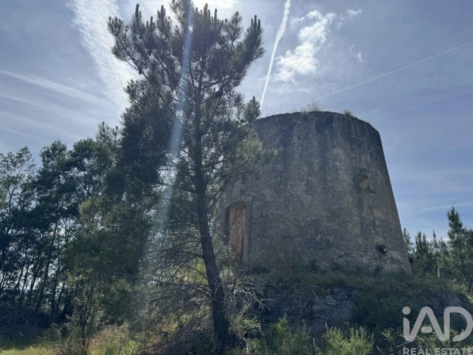 Prédio para Venda em Olhalvo Foto 25