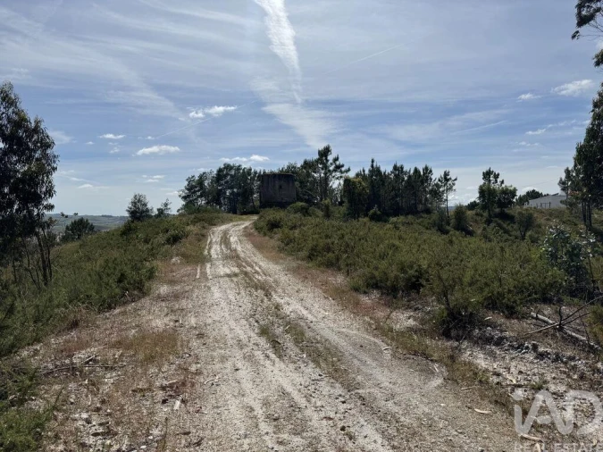 Prédio para Venda em Olhalvo Foto 20
