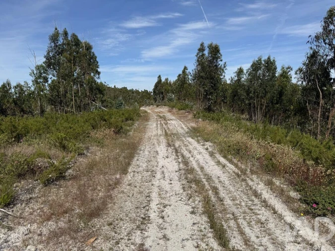 Prédio para Venda em Olhalvo Foto 18