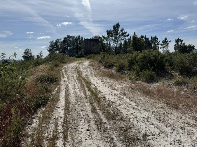 Prédio para Venda em Olhalvo Foto 19