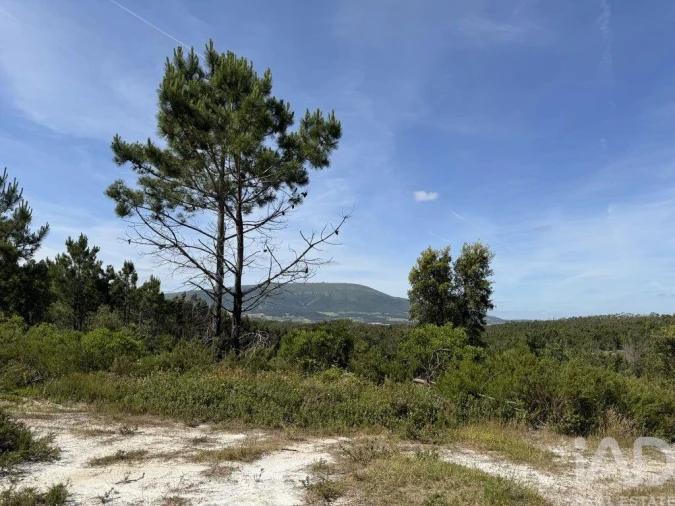 Prédio para Venda em Olhalvo Foto 3