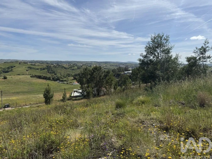 Prédio para Venda em Olhalvo Foto 28