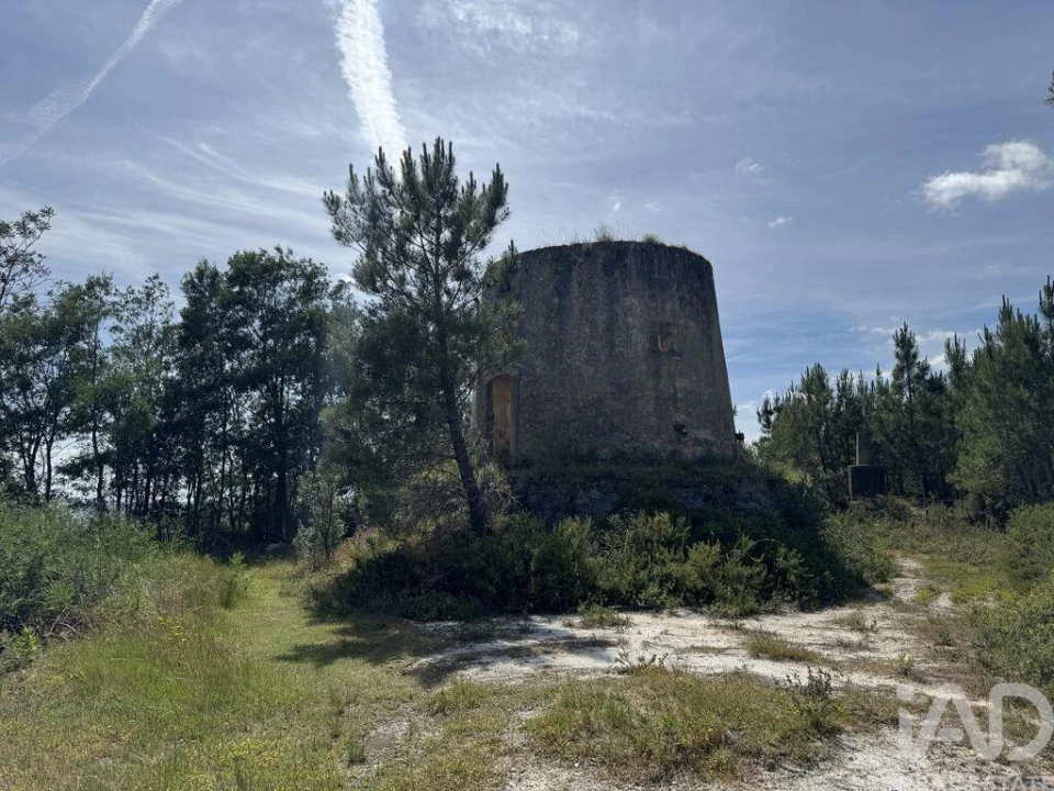 Prédio para Venda em Olhalvo Foto 16