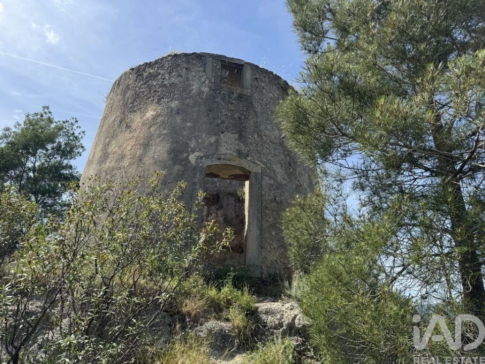 Prédio para Venda em Olhalvo Foto 24