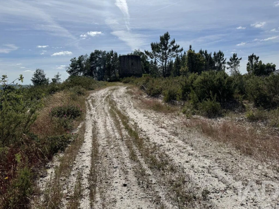 Prédio para Venda em Olhalvo Foto 19