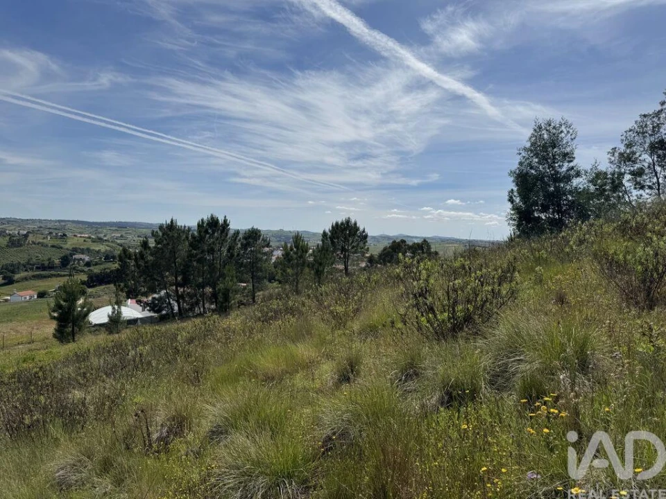 Prédio para Venda em Olhalvo Foto 9