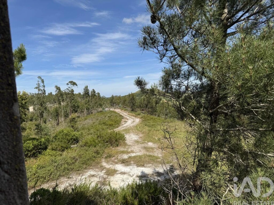 Prédio para Venda em Olhalvo Foto 14