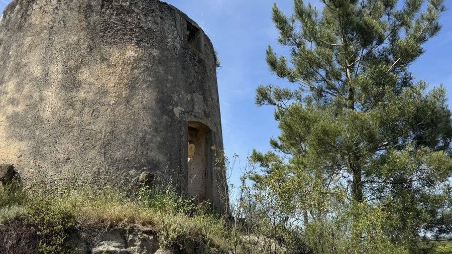 Prédio para Venda em Olhalvo