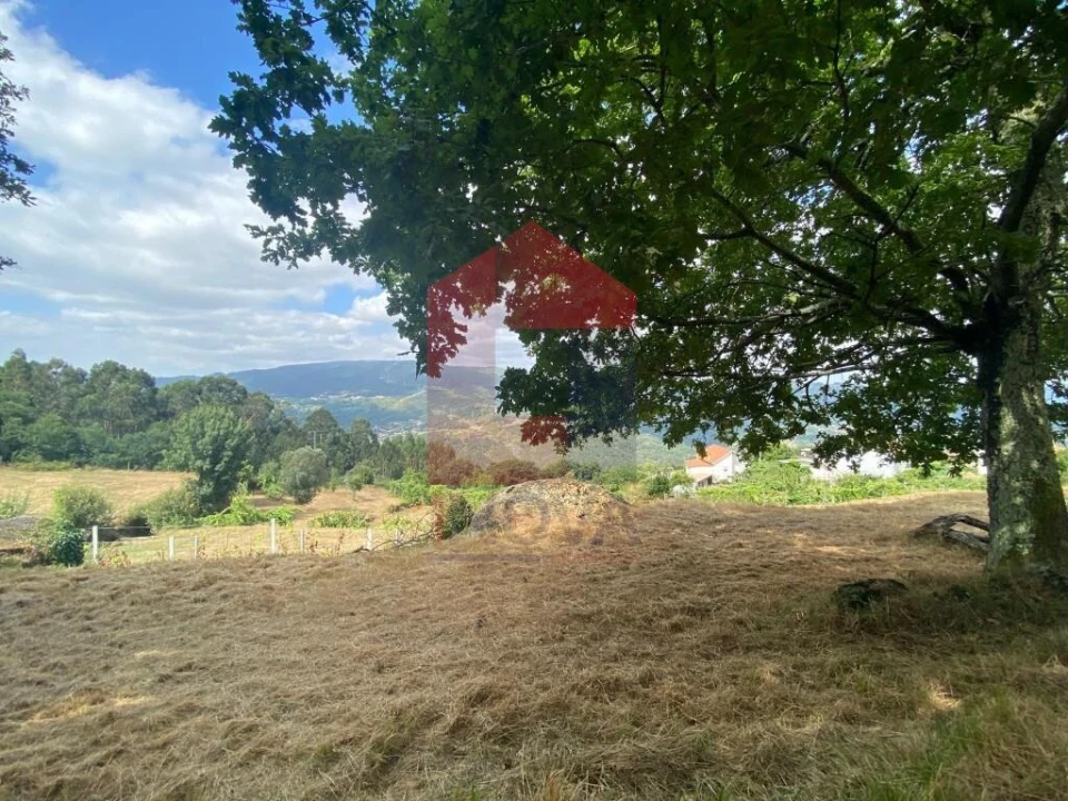 Terreno para Venda em Valbom (São Pedro), Passô e Valbom (São Martinho) Foto 5