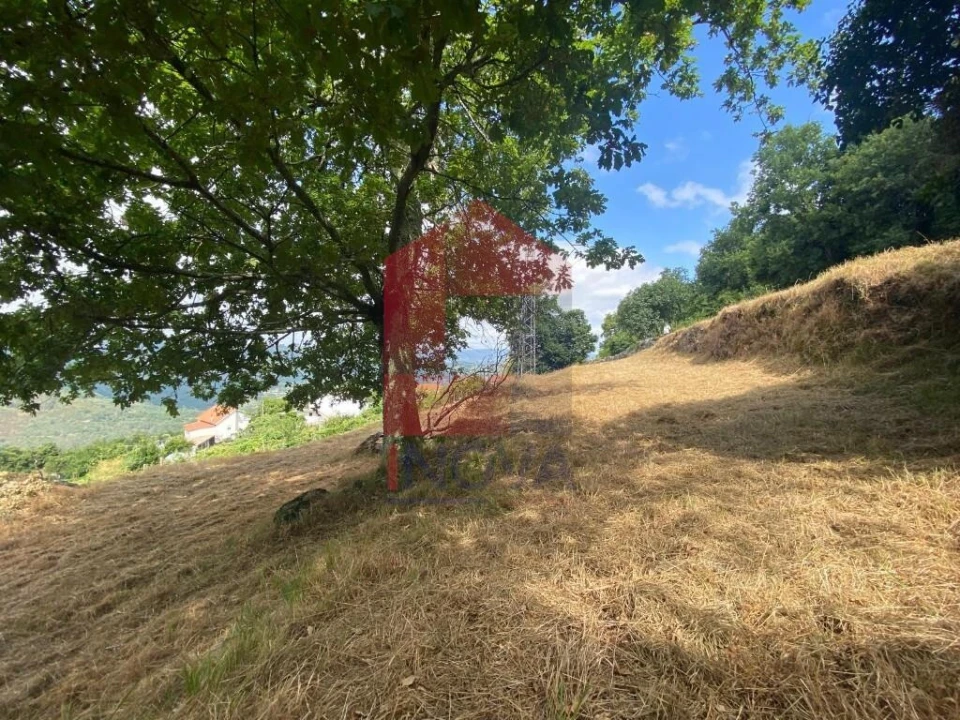 Terreno para Venda em Valbom (São Pedro), Passô e Valbom (São Martinho) Foto 4