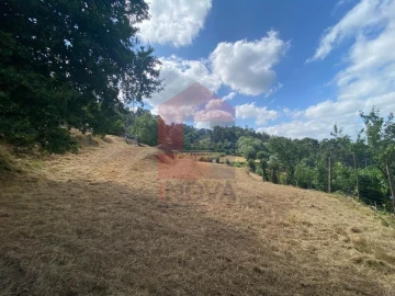 Terreno para Venda em Valbom (São Pedro), Passô e Valbom (São Martinho)