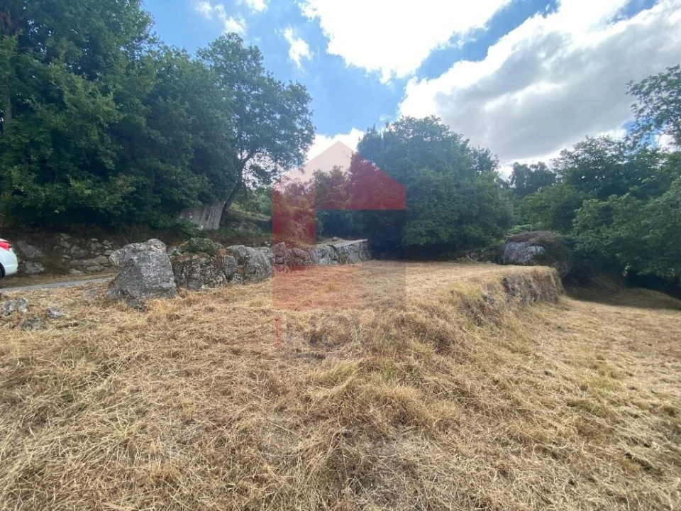 Terreno para Venda em Valbom (São Pedro), Passô e Valbom (São Martinho) Foto 3