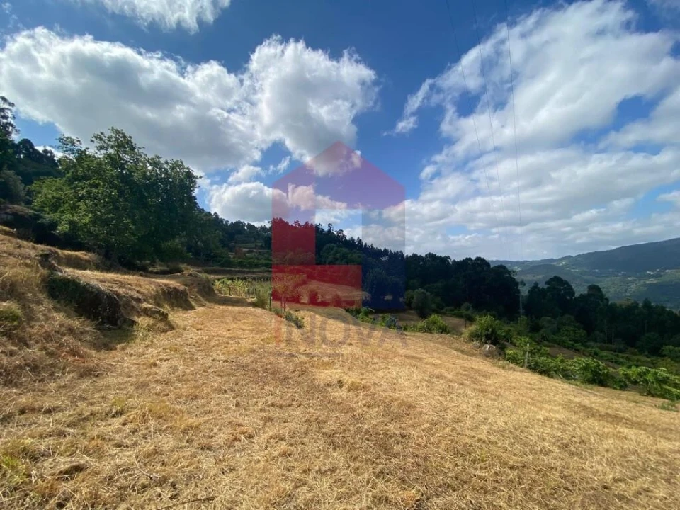 Terreno para Venda em Valbom (São Pedro), Passô e Valbom (São Martinho) Foto 8