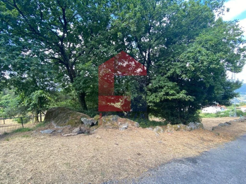 Terreno para Venda em Valbom (São Pedro), Passô e Valbom (São Martinho) Foto 24